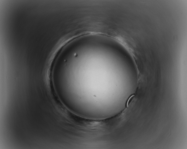 X0000093140151200710031416