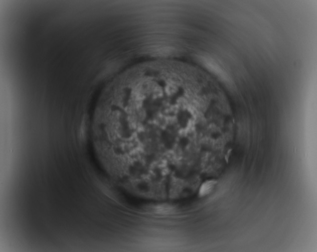 X0000093140165200710031416