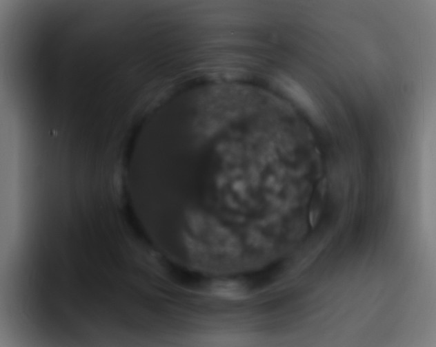 X0000093140169200710031416