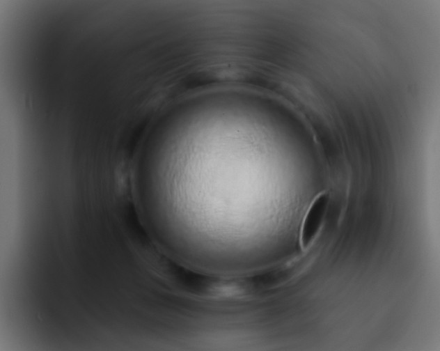 X0000093140175200710031416