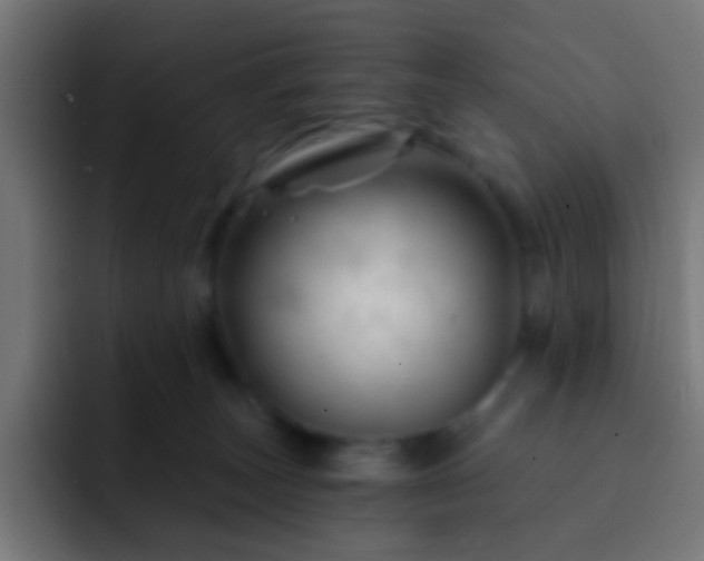 X0000093140179200710031416