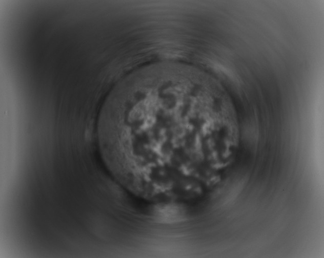 X0000093140181200710031416