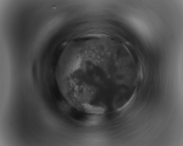 X0000093140191200710031416