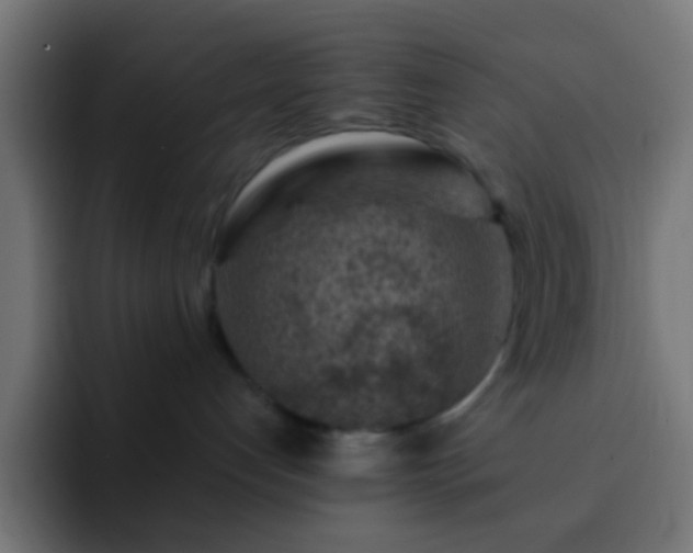 X0000093140192200710031416
