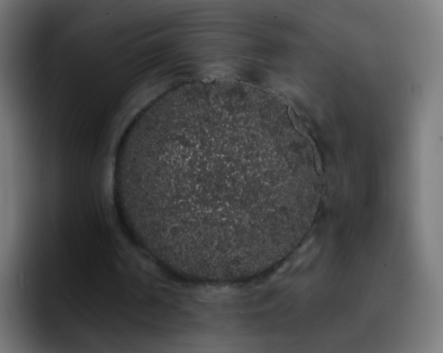 X0000093140194200710031416