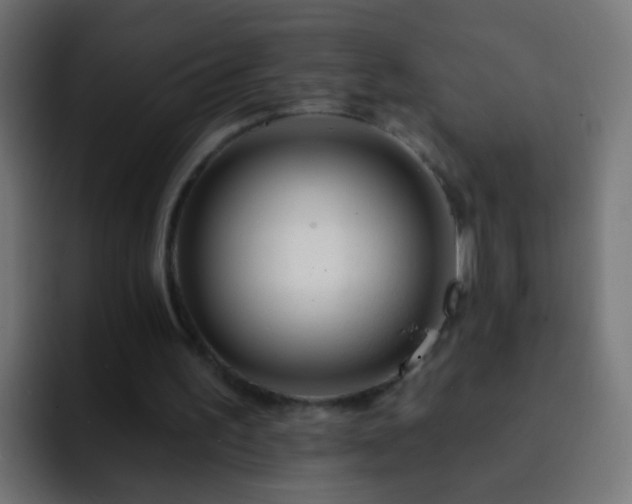 X0000093140195200710031416