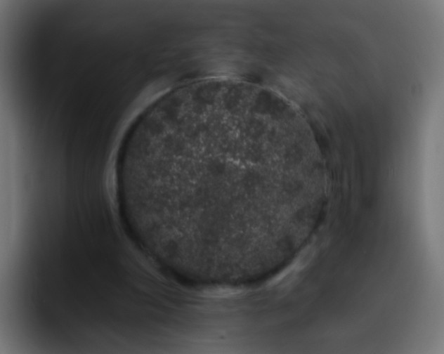 X0000093140198200710031416