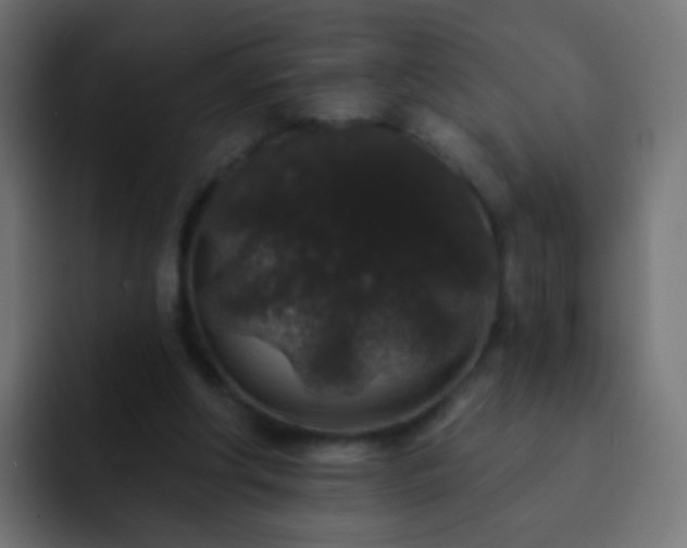 X0000093140202200710031416