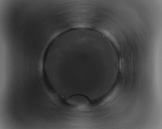 X0000093140204200710031416