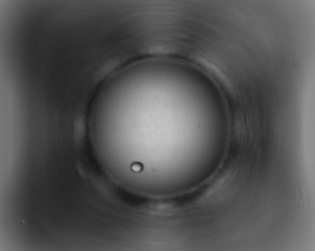 X0000093140208200710031416