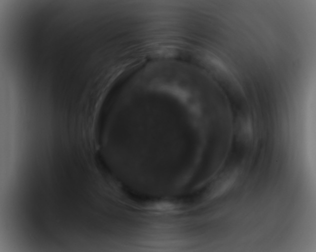 X0000093140224200710031415