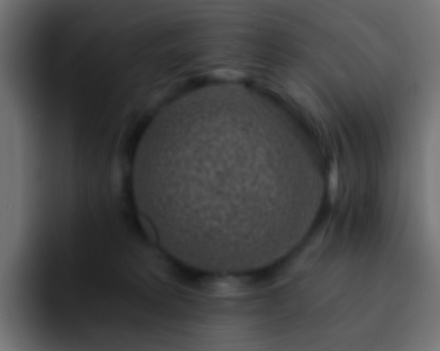 X0000093140229200710031415