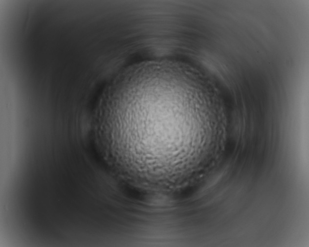 X0000093140230200710031415