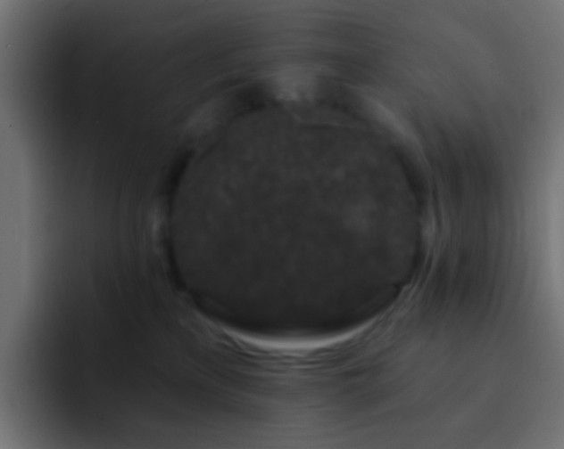 X0000093140233200710031415
