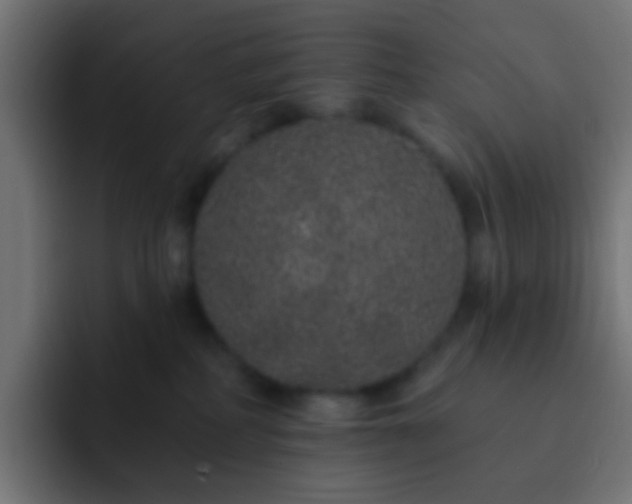 X0000093140234200710031415