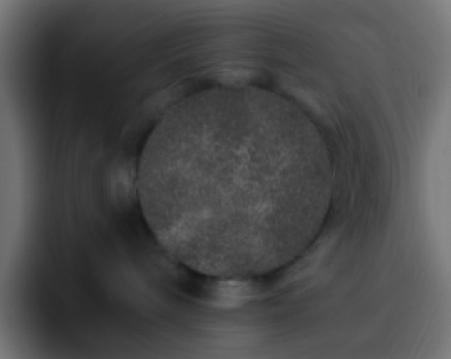 X0000093140240200710031415