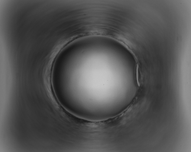 X0000093140241200710031415