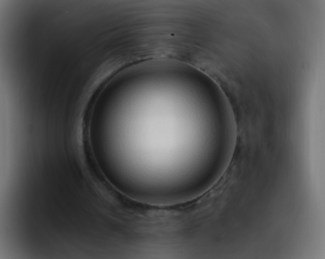 X0000093140242200710031415
