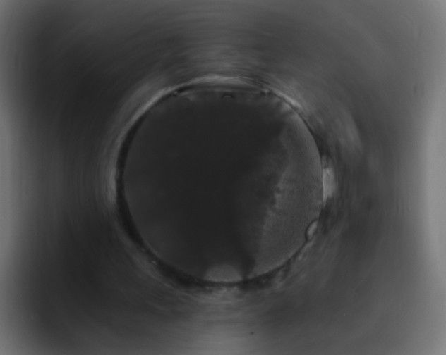 X0000093140243200710031415