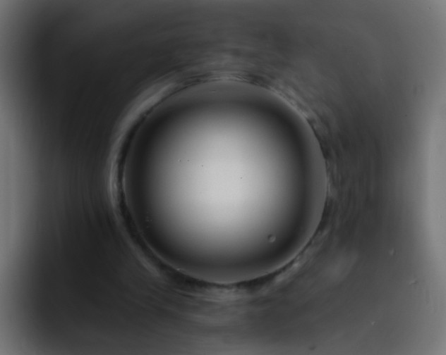 X0000093140245200710031415