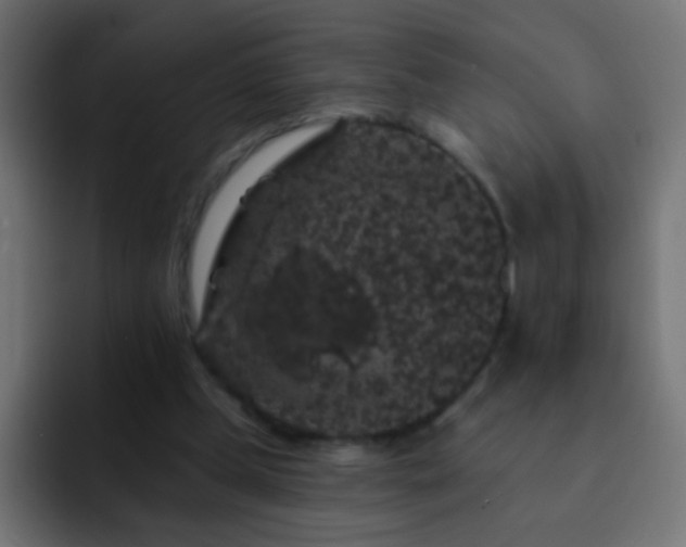 X0000093140249200710031415