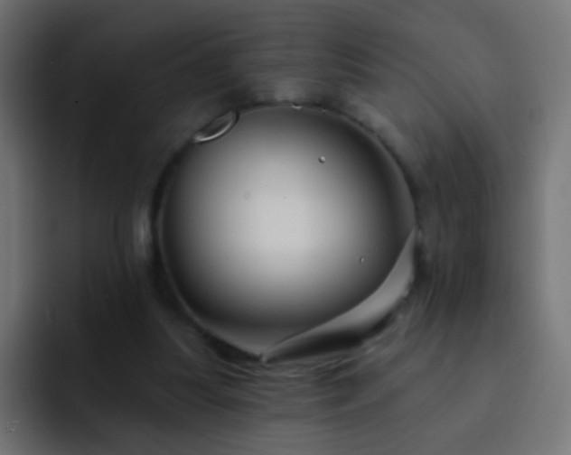 X0000093140251200710031415