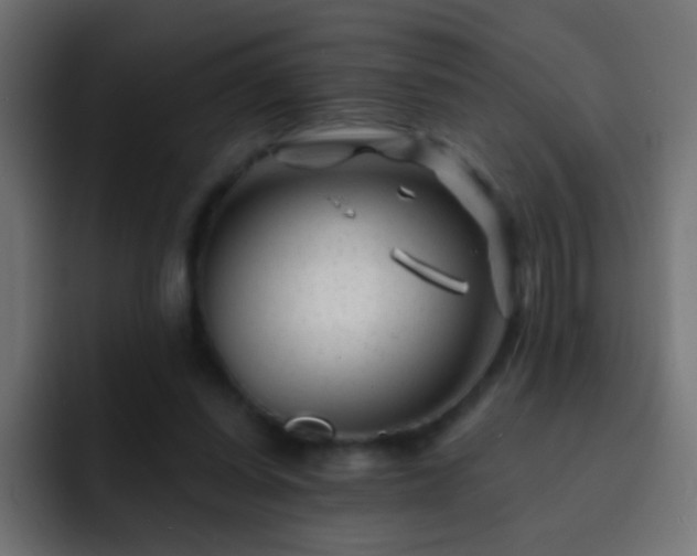 X0000093140254200710031415