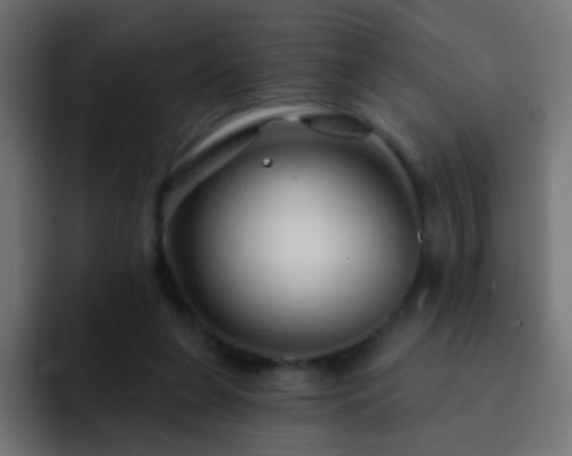 X0000093140255200710031415
