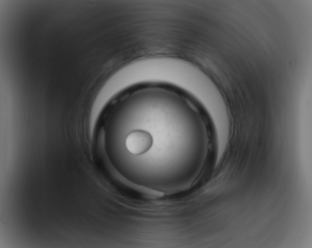 X0000093140260200710031415