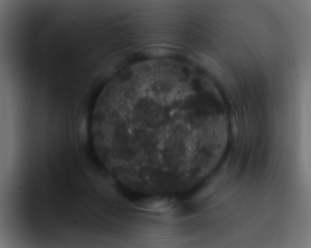 X0000093140267200710031415