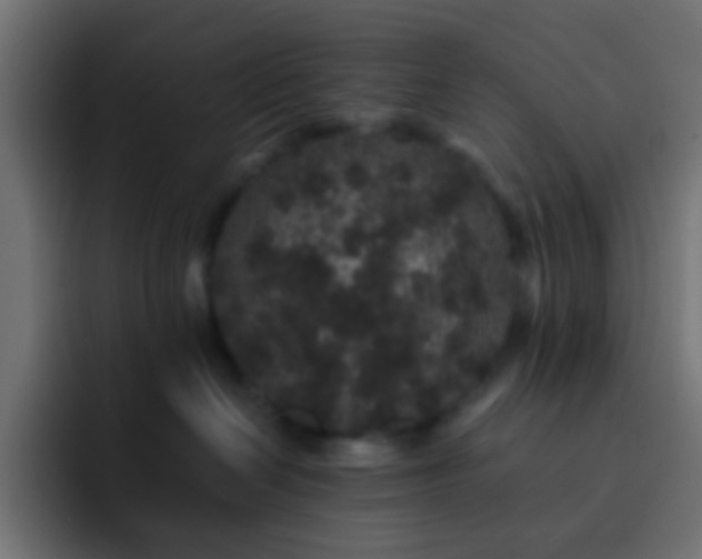 X0000093140286200710031415
