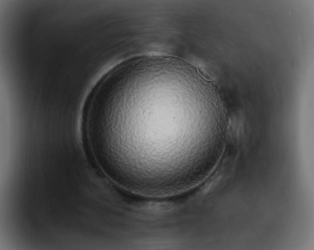 X0000093140292200710031415