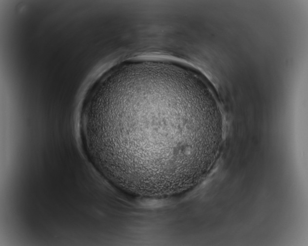 X0000093140293200710031415