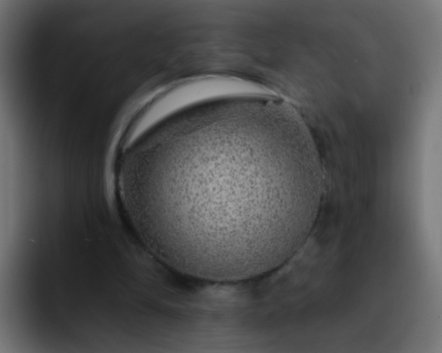 X0000093140294200710031415