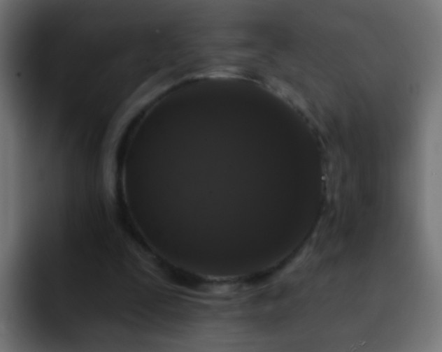 X0000093140295200710031415
