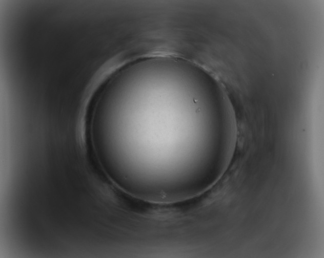 X0000093140296200710031415