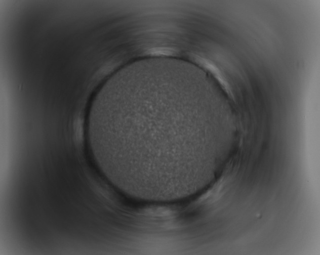 X0000093140299200710031415