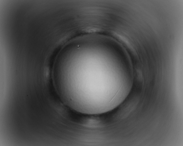 X0000093140308200710031414