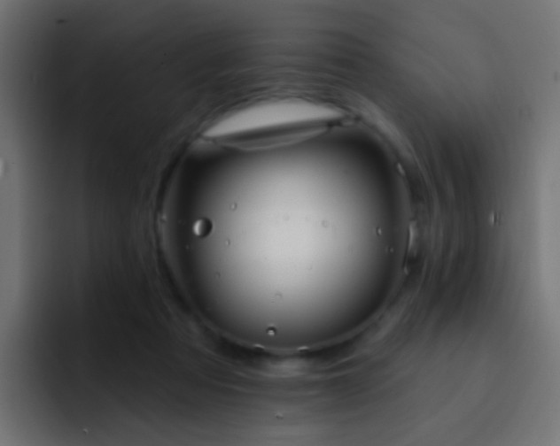 X0000093140313200710031414