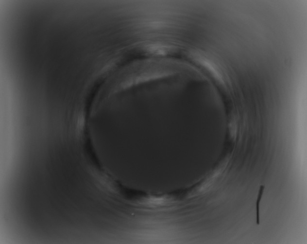 X0000093140314200710031414