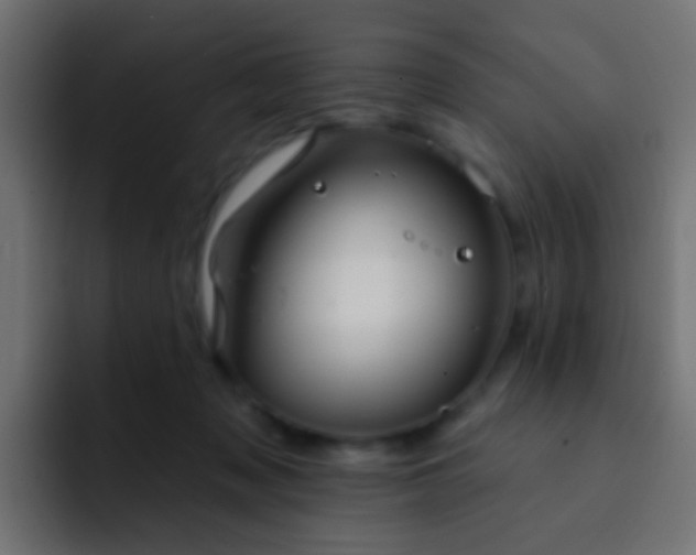 X0000093140317200710031414