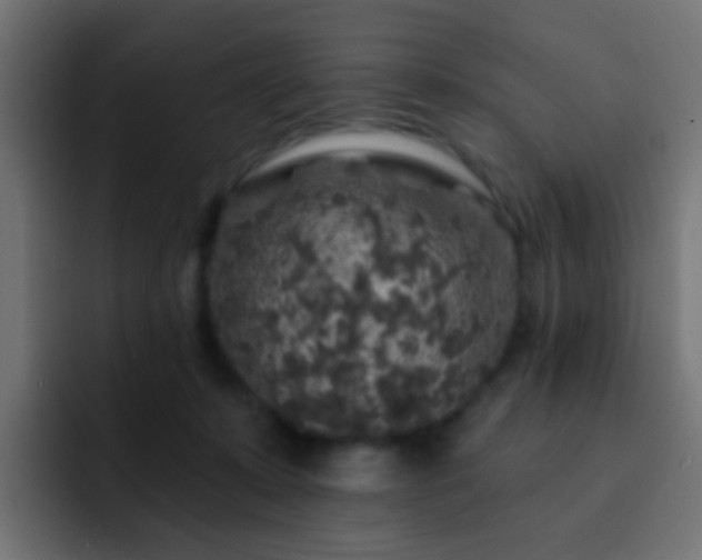 X0000093140319200710031414
