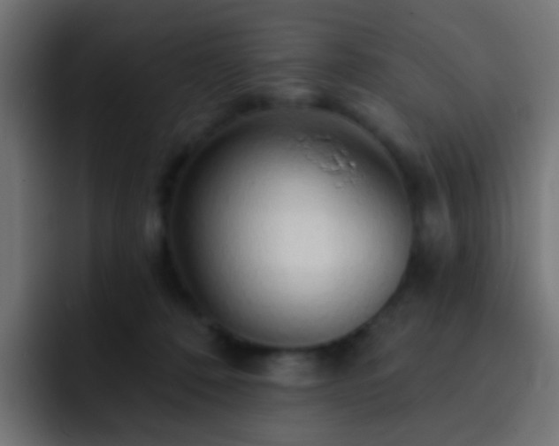 X0000093140320200710031414