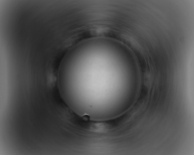 X0000093140324200710031414