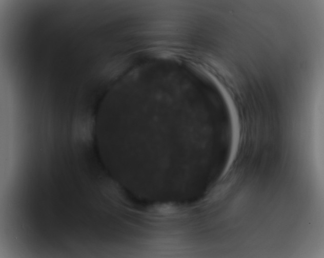 X0000093140325200710031414