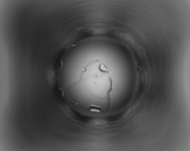 X0000093140327200710031414