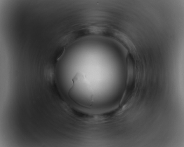 X0000093140329200710031414