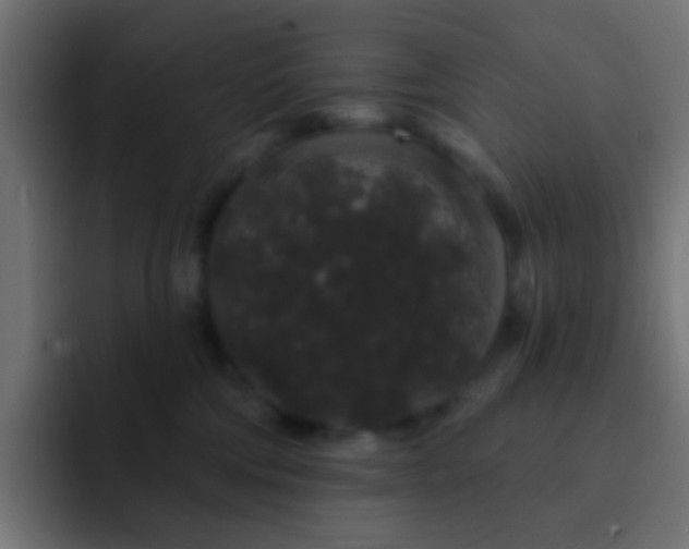 X0000093140330200710031414