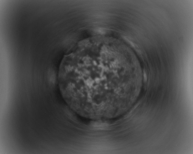 X0000093140331200710031414