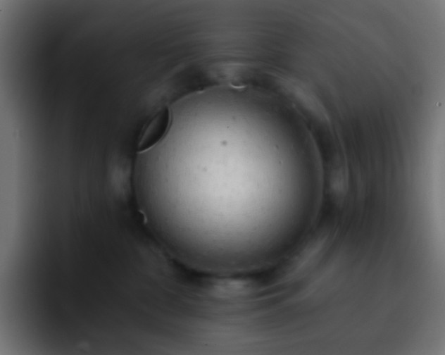 X0000093140332200710031414